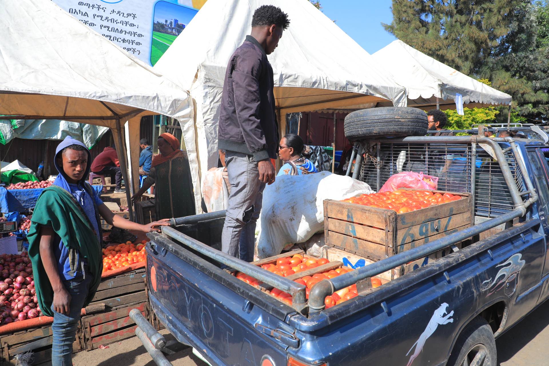 Ethiopian population