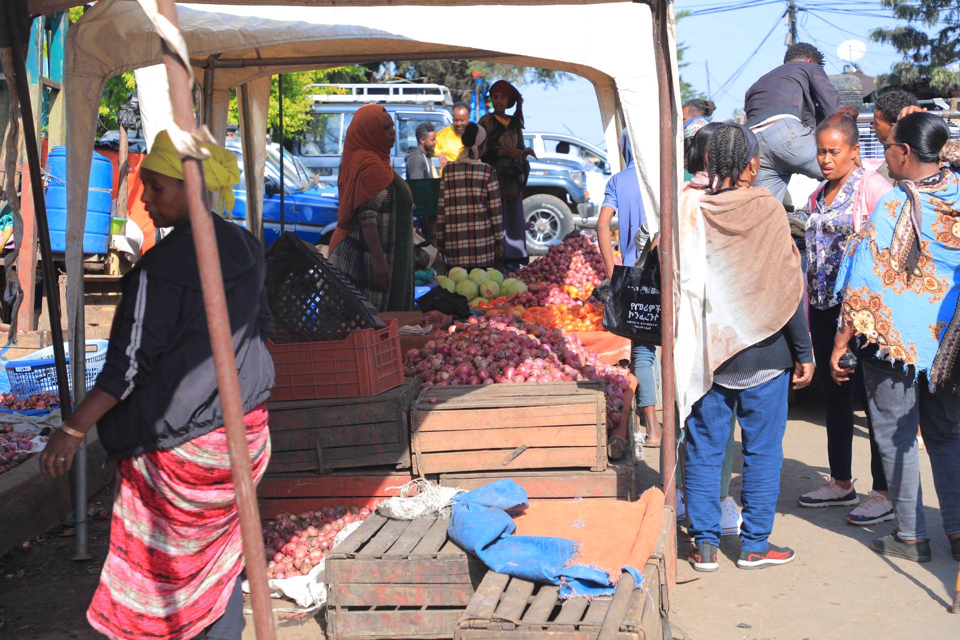 Ethiopian population