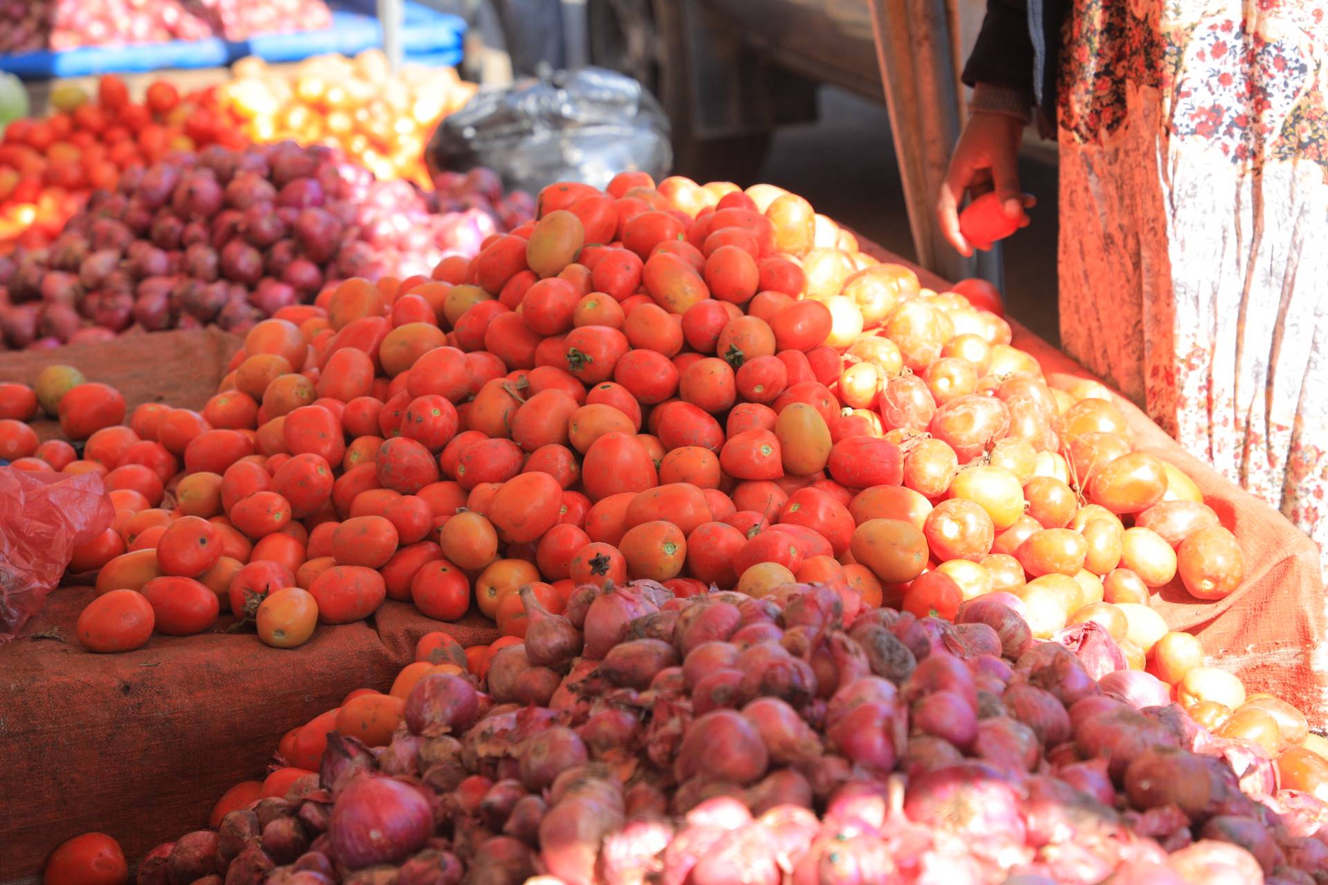 Ethiopian population