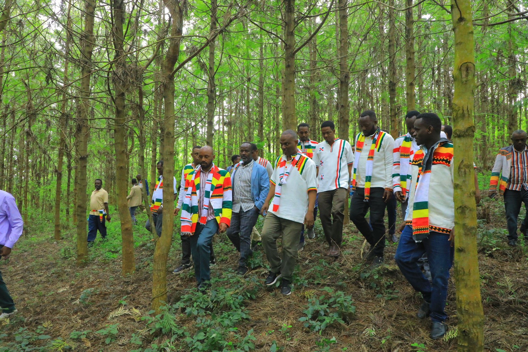 Gofa and Oida Holidays