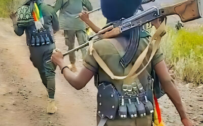 FANO Communiqué: Ensuring Civilian Safety in the Amhara Region