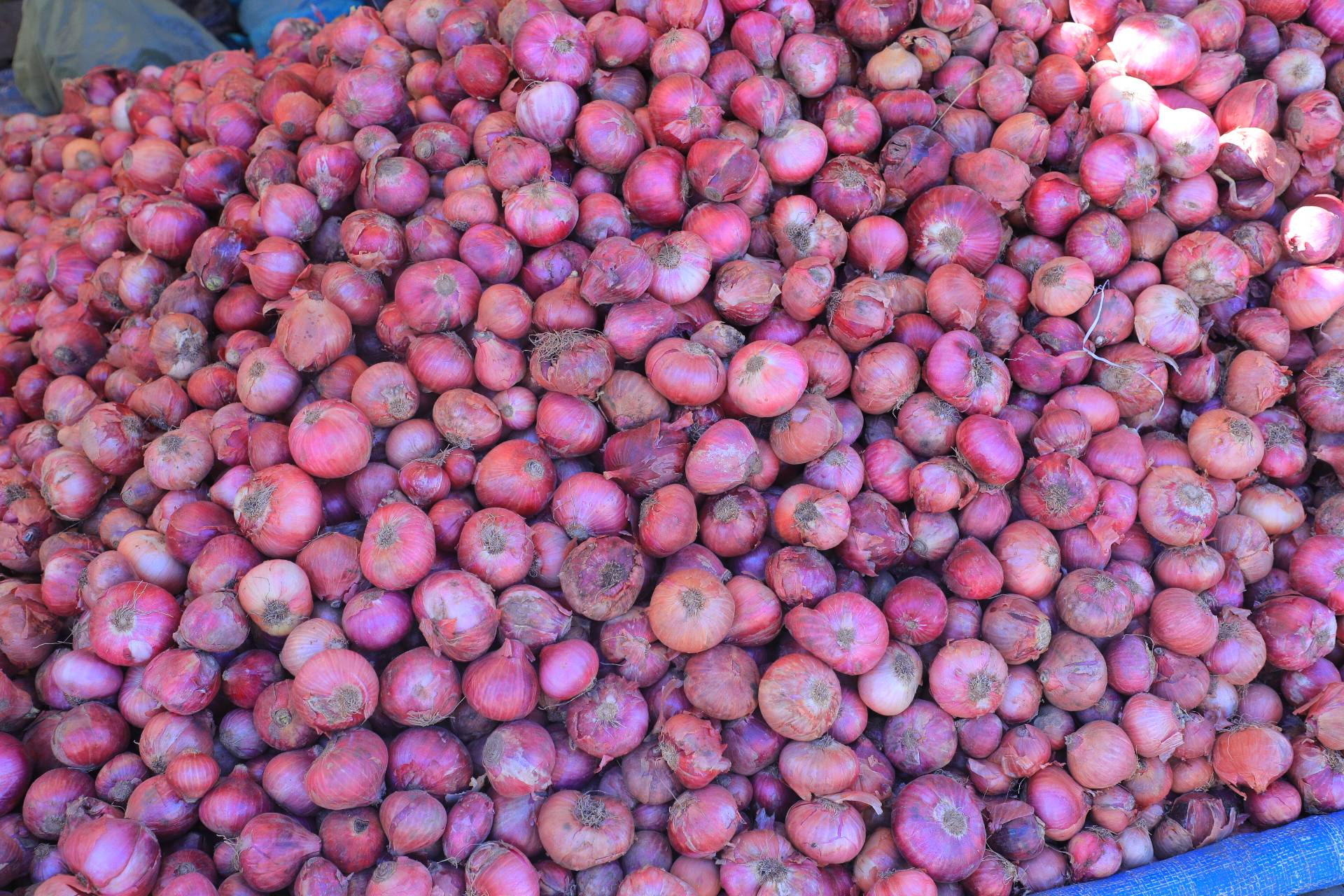 Saturday and Sunday Market