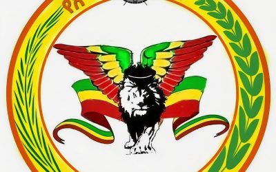 Yikuno Amlak Faction: Leadership Transition and Operational Review