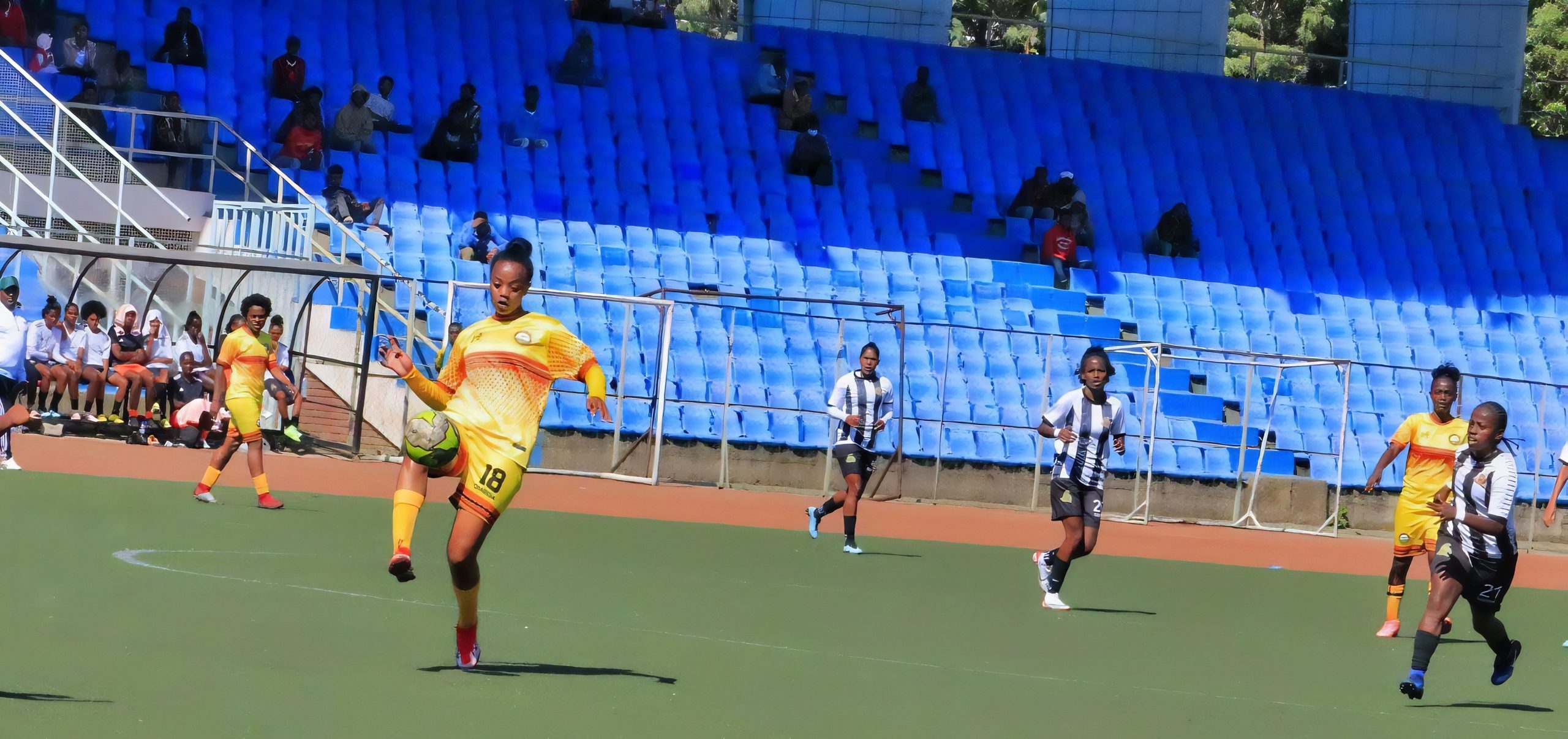 Ethiopian Women's Premier League