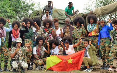 Unfulfilled Promises: Why the Pretoria Peace Agreement Has Failed Tigray