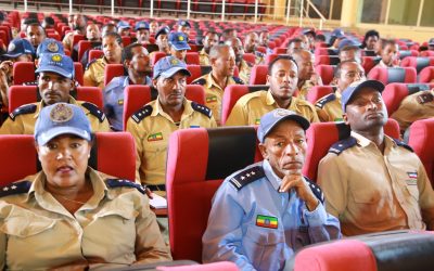 Ethiopia’s Regional Security Strategy: Insights from Gurage Zone and Welkite City