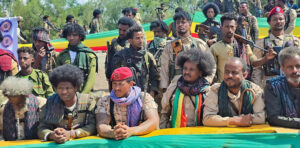 Fano victory North Wollo