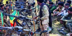 Communique from Amhara Fano Wollo: A Call for Unity and Participation