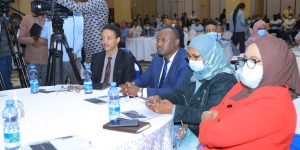 ETHIOPIAN DIASPORA ASKED TO BUILD DESTROYED INFRASTRUCTURE