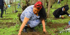 THE MINISTRY OF WATER AND ENERGY GREEN LEGACY PROGRAM