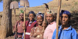 IRRIGATION DEVELOPMENT IN MESQAN DISTRICT