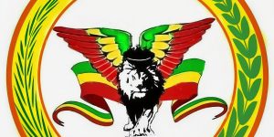 Yikuno Amlak Faction: Leadership Transition and Operational Review