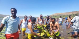 GOVERNMENT OFFICIALS ARE DOING SOME REAL WORK