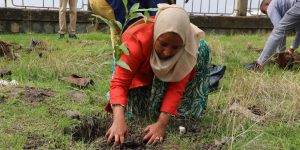 THE GREEN LEGACY PROGRAM IN LEGETAFO