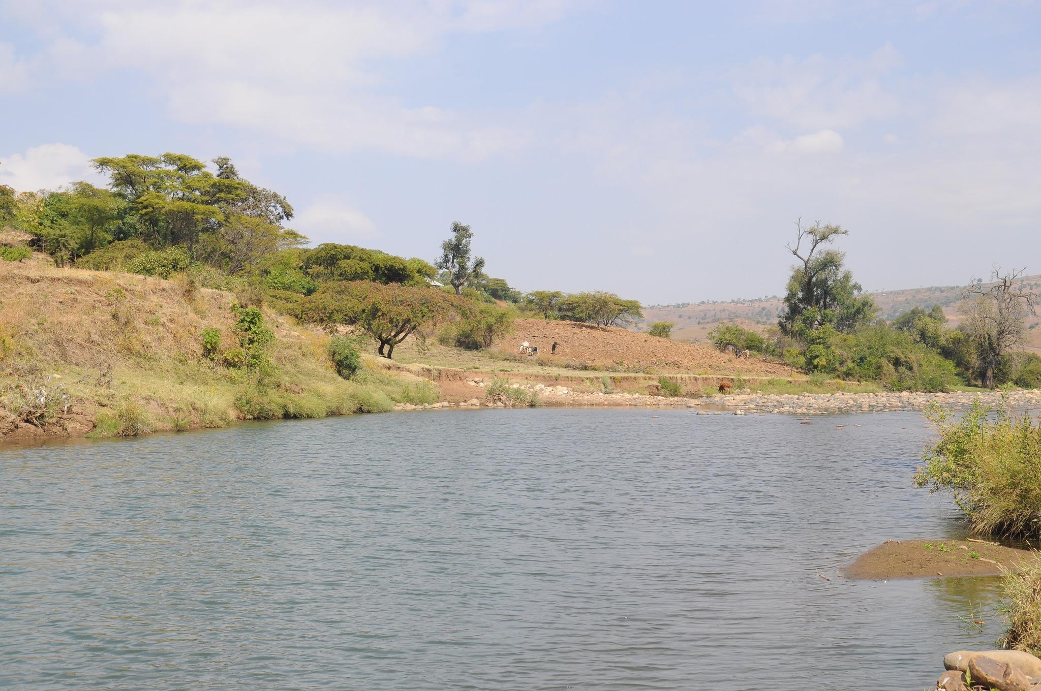 wheat planting in Kuta