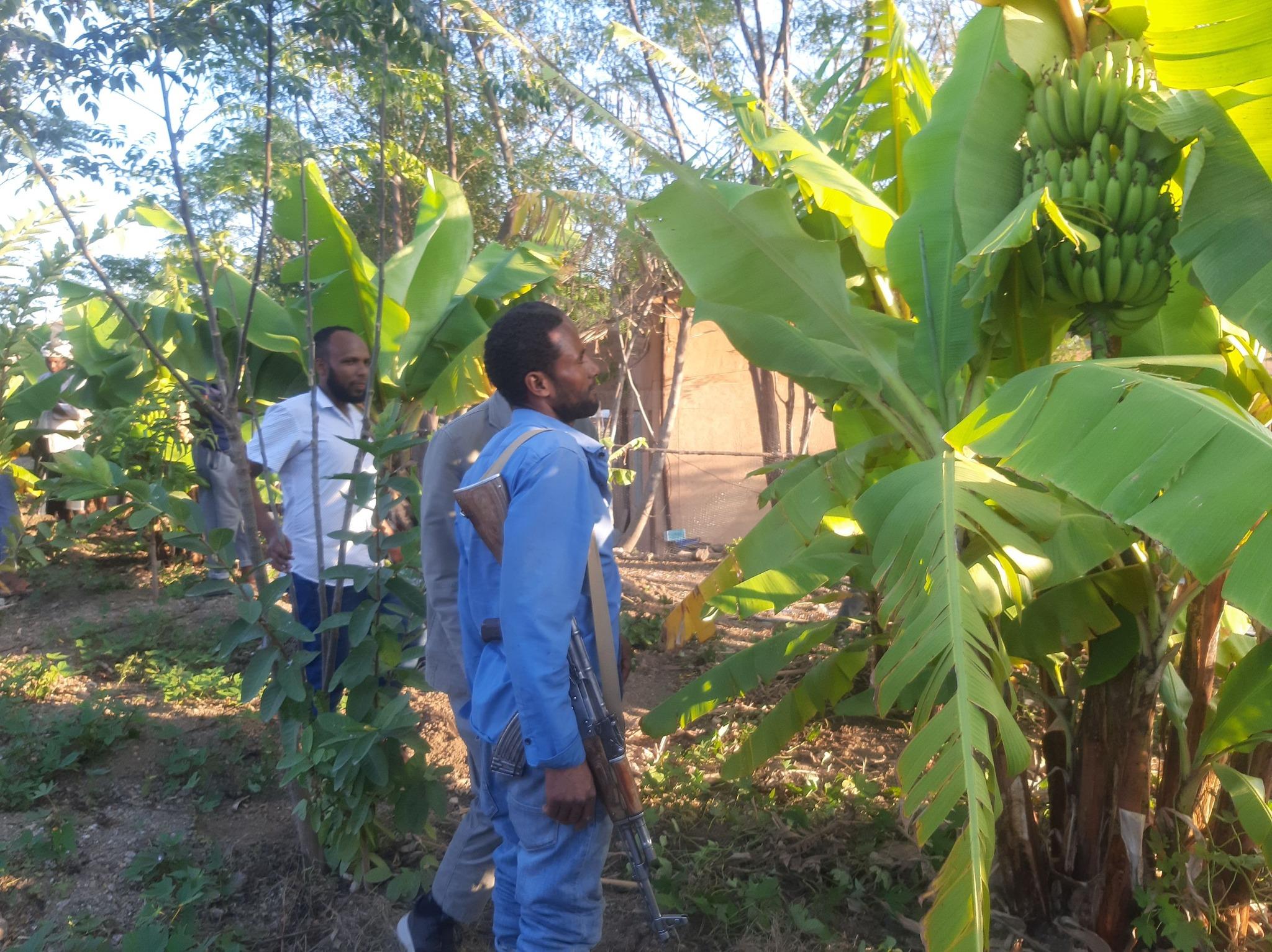 Producing fruits and vegetables 