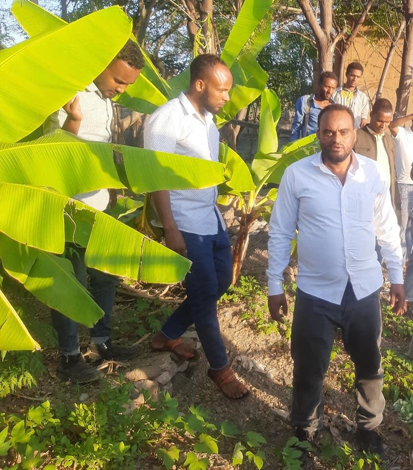 Producing fruits and vegetables 