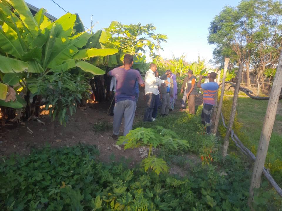 Producing fruits and vegetables 