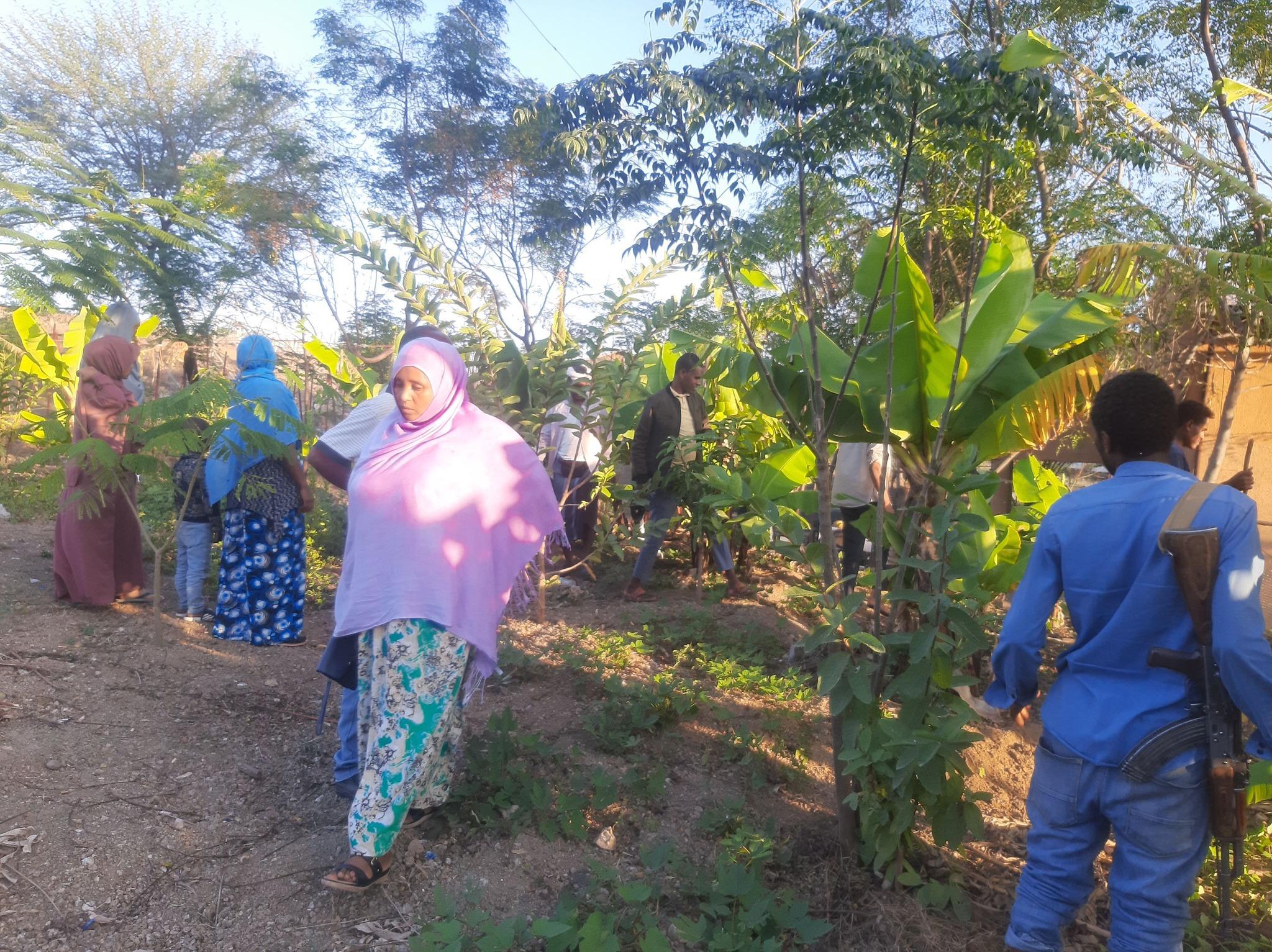 Producing fruits and vegetables 