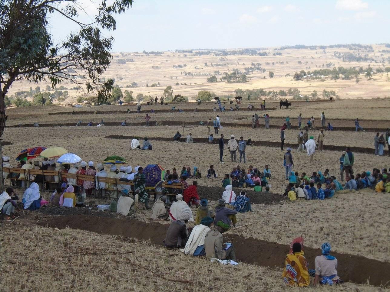  Semada Woreda Development Work