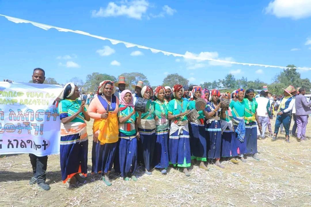 Halaba conspiracy holiday 