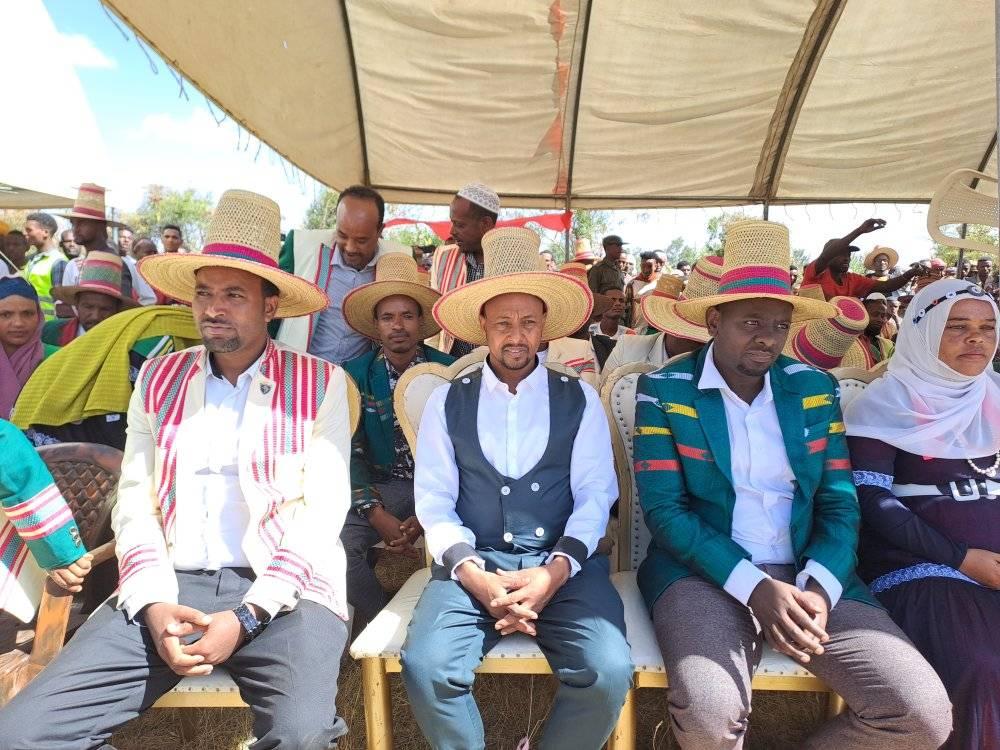 Halaba conspiracy holiday 