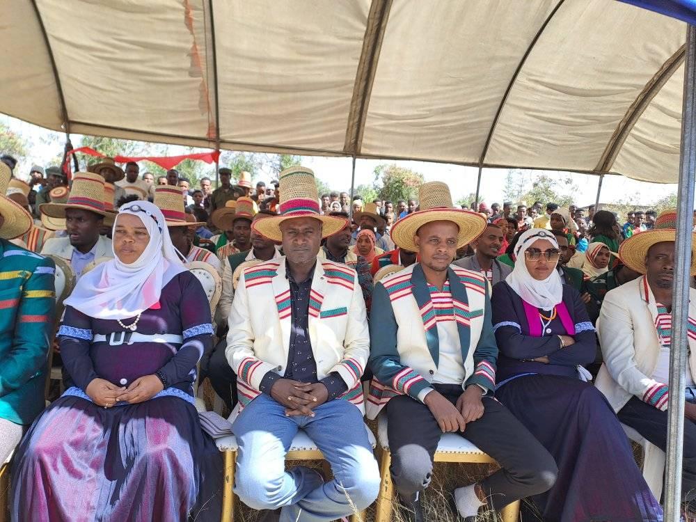 Halaba conspiracy holiday 