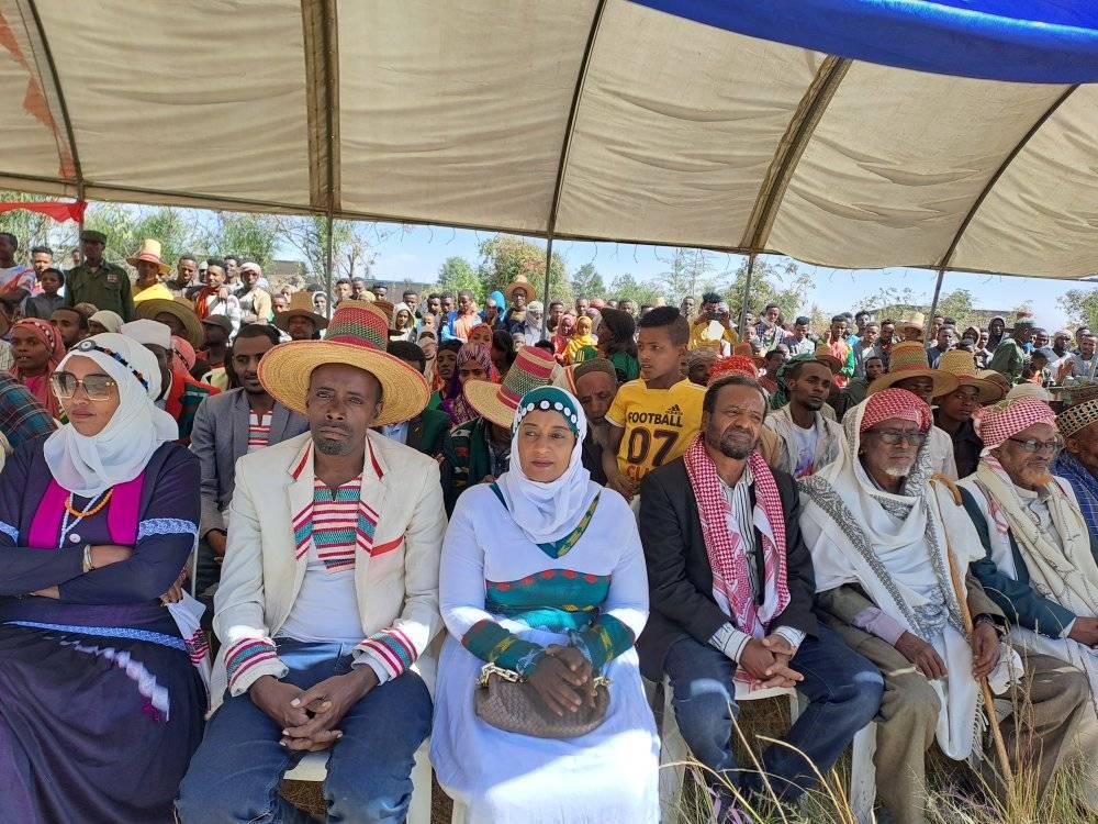 Halaba conspiracy holiday 