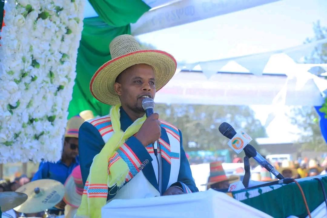 Halaba conspiracy holiday 