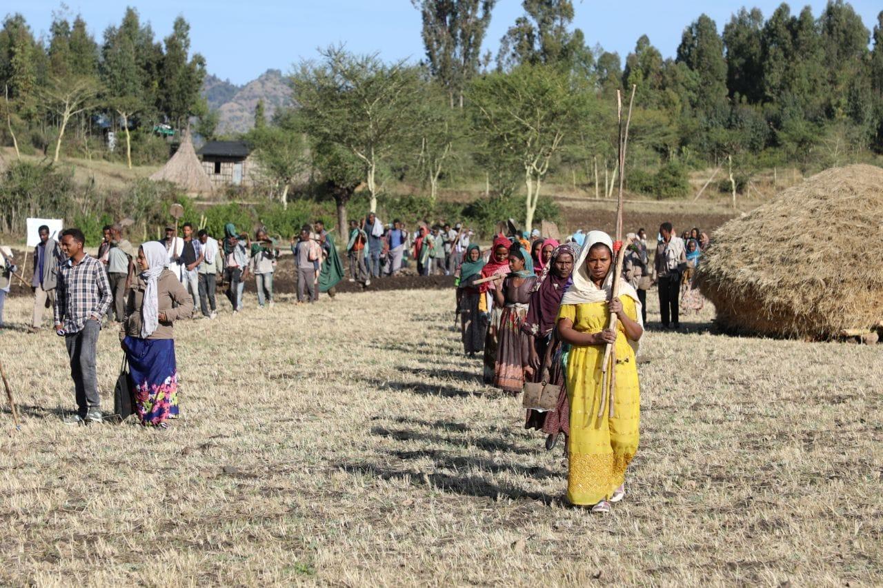 Habru Woreda integrated water development