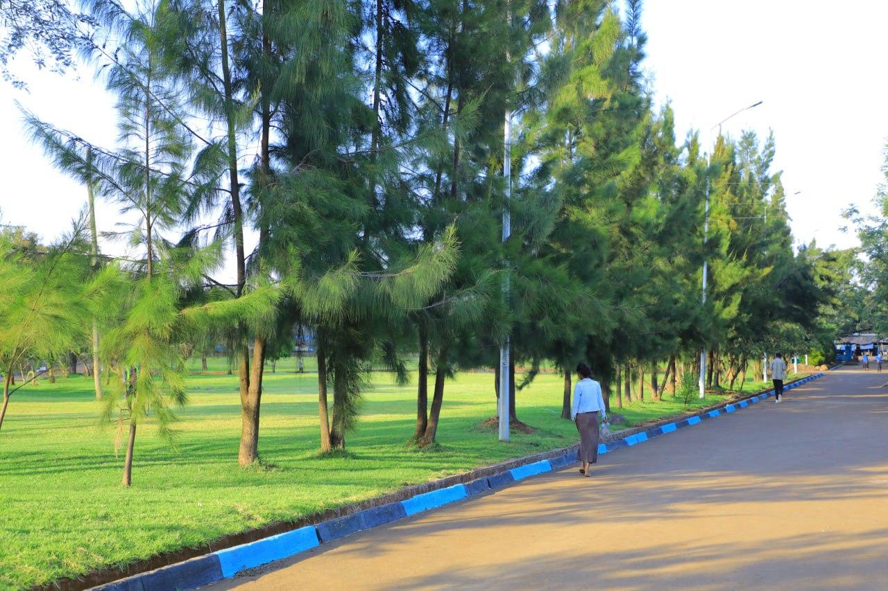 University of Bahir Dar