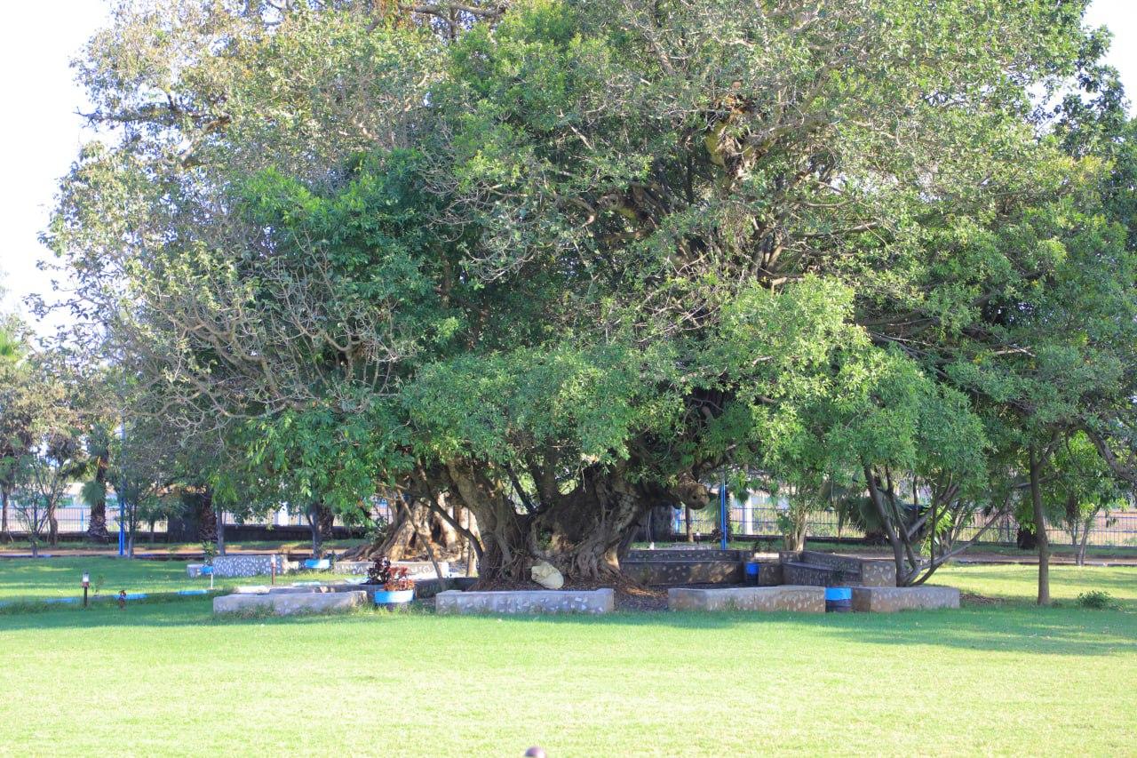 University of Bahir Dar