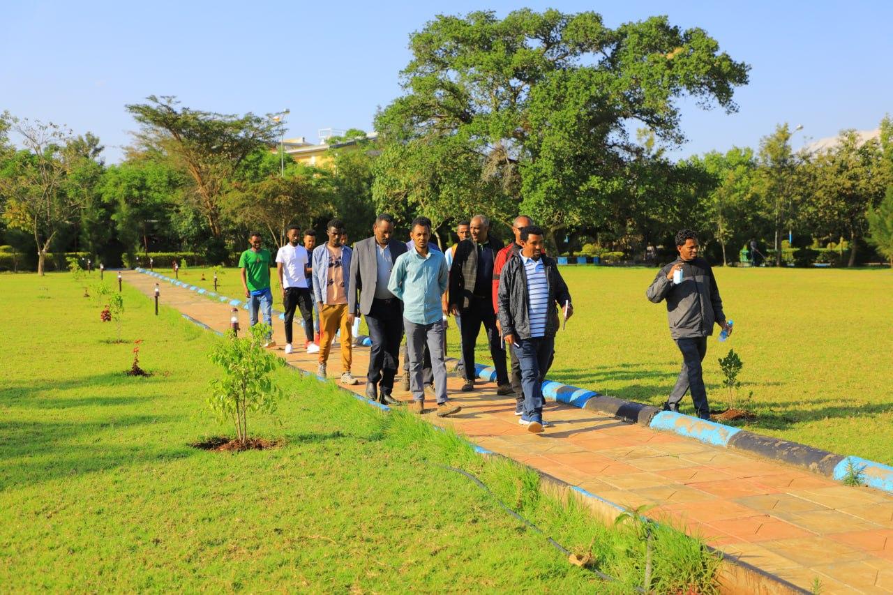 University of Bahir Dar