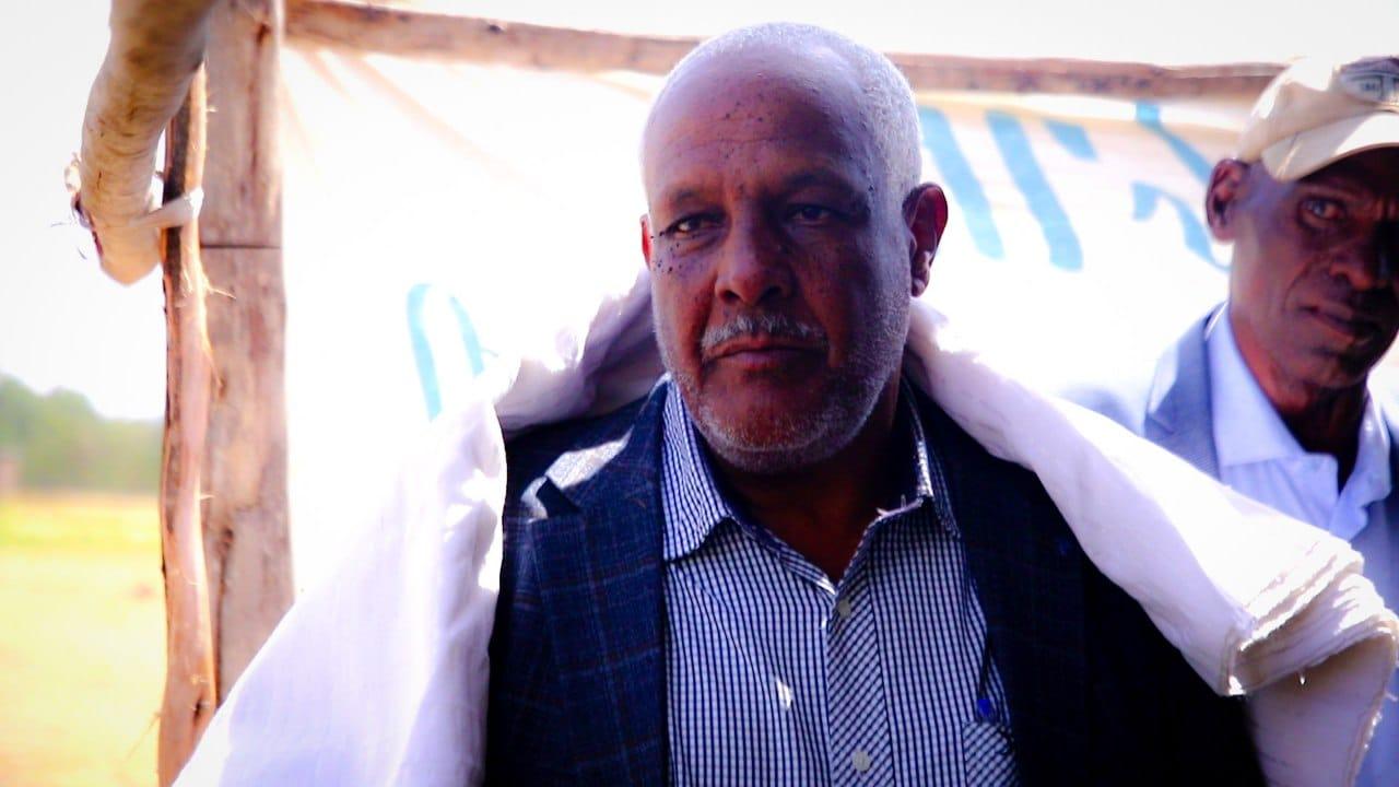 traditional judicial system 