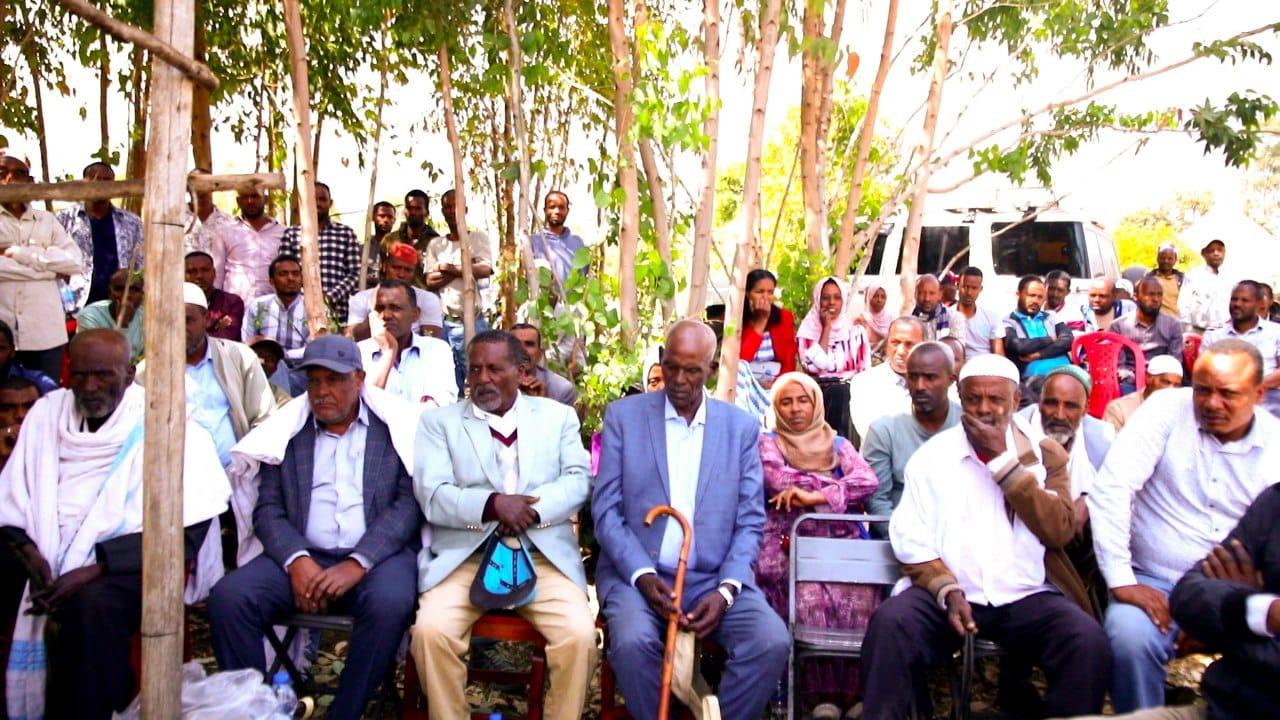 traditional judicial system 