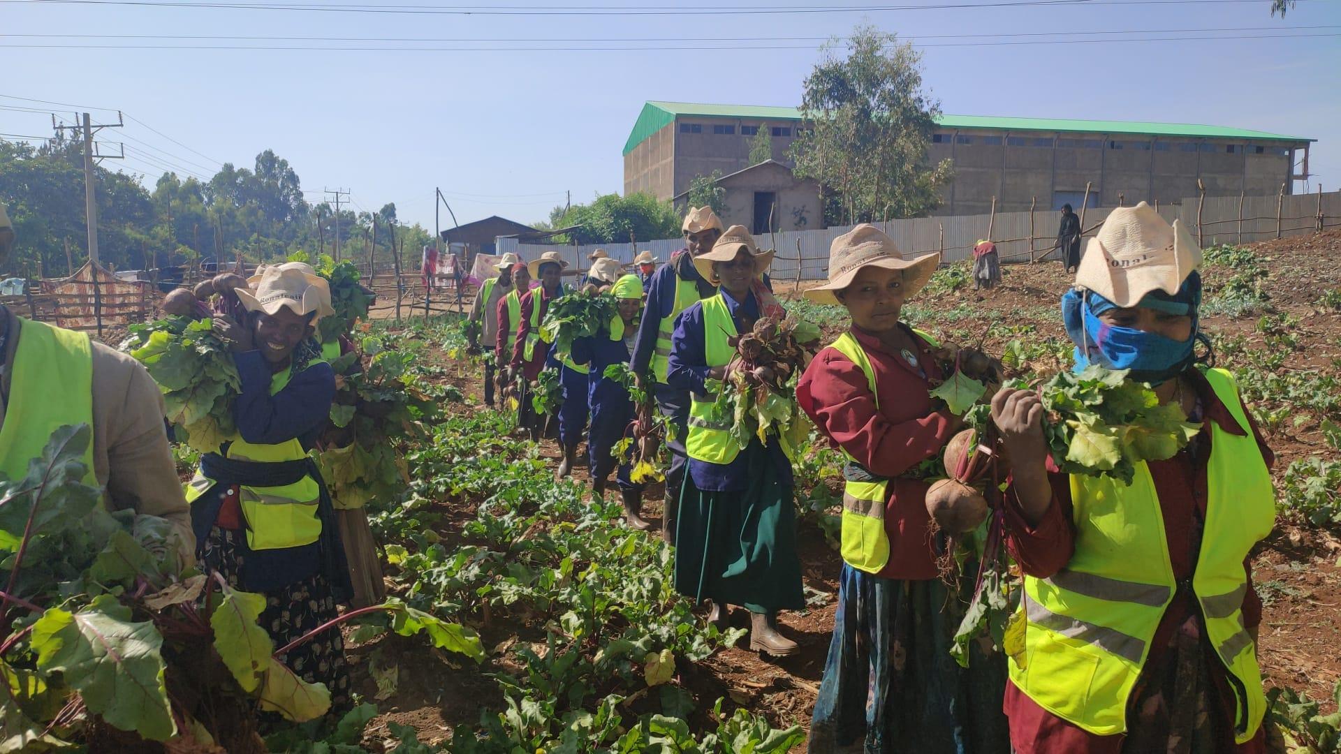  Finote Selam city food and insurance and safety 