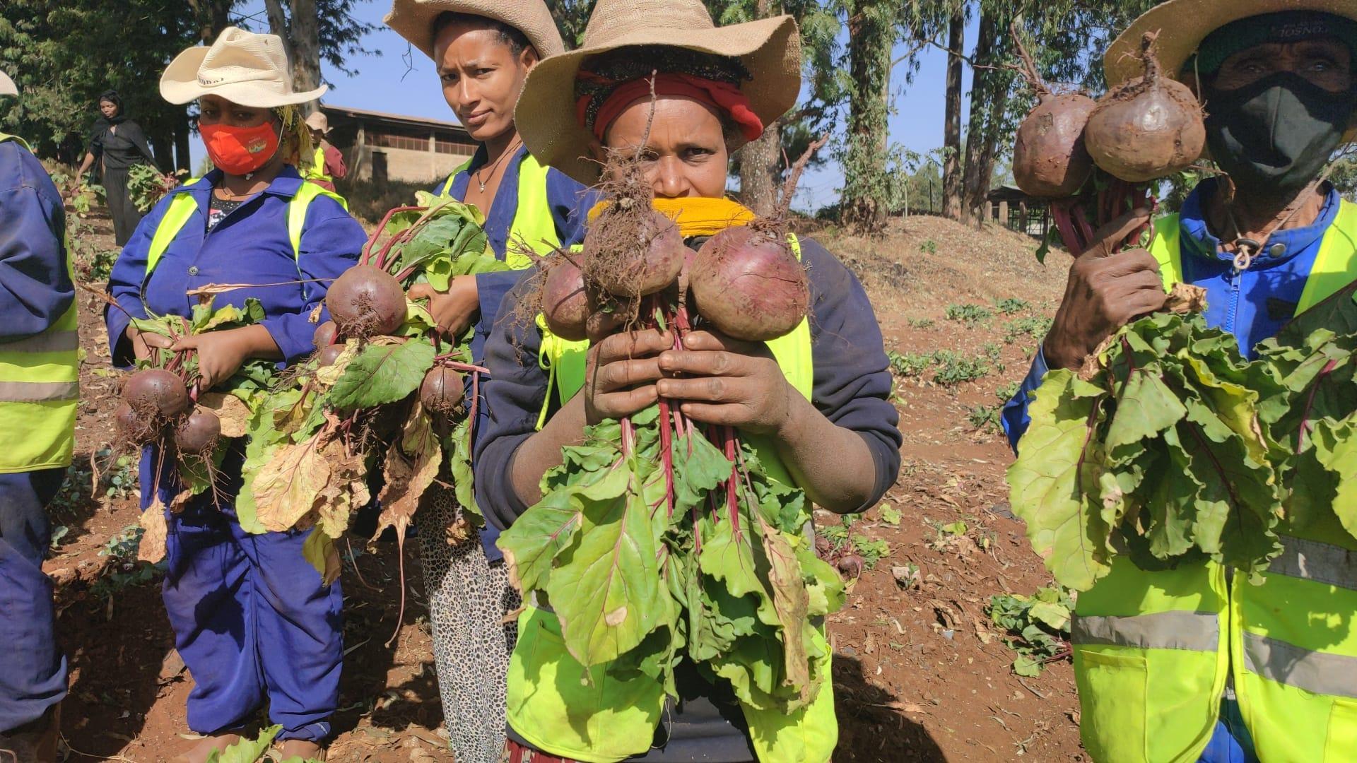  Finote Selam city food and insurance and safety 