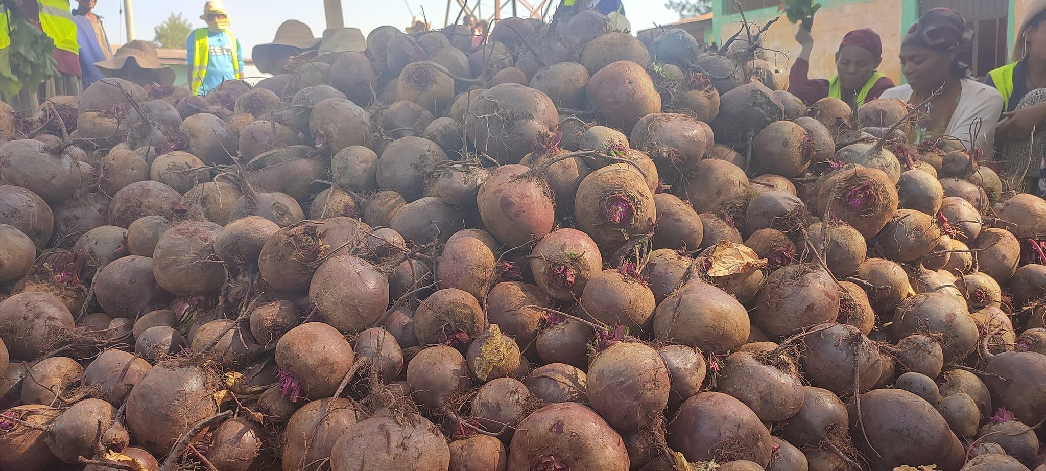  Finote Selam city food and insurance and safety 