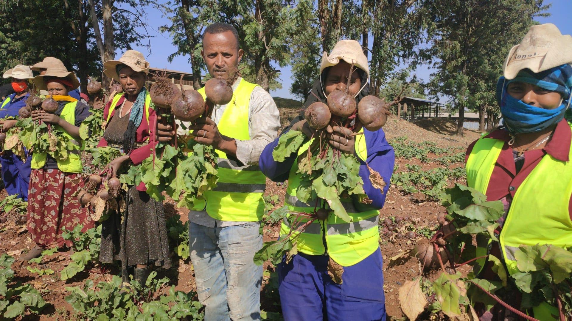  Finote Selam city food and insurance and safety 