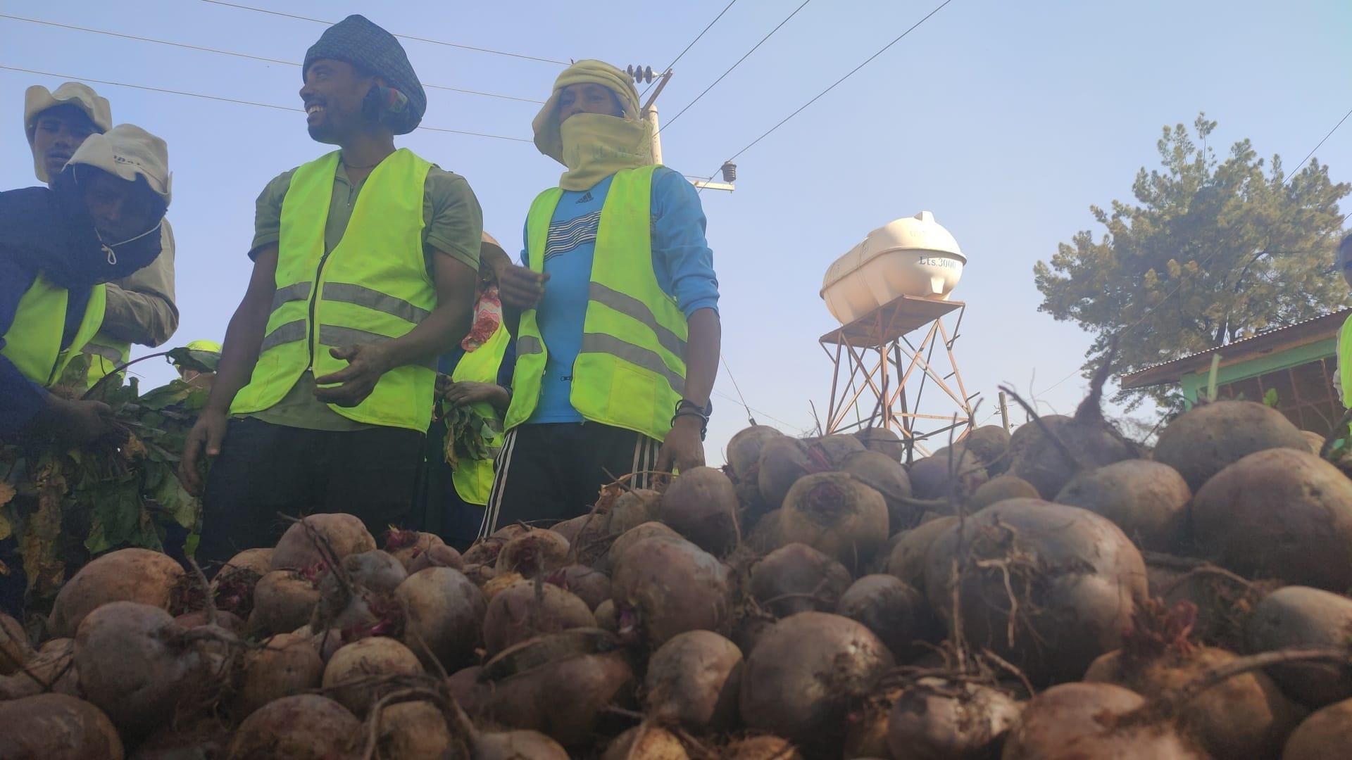  Finote Selam city food and insurance and safety 