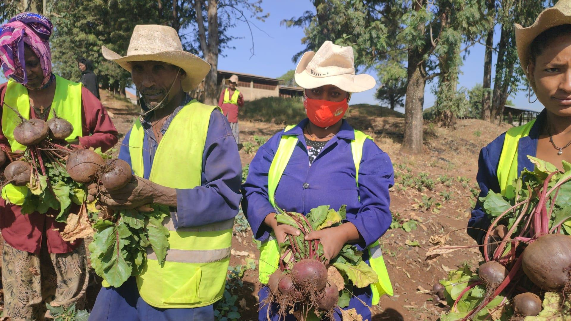  Finote Selam city food and insurance and safety 