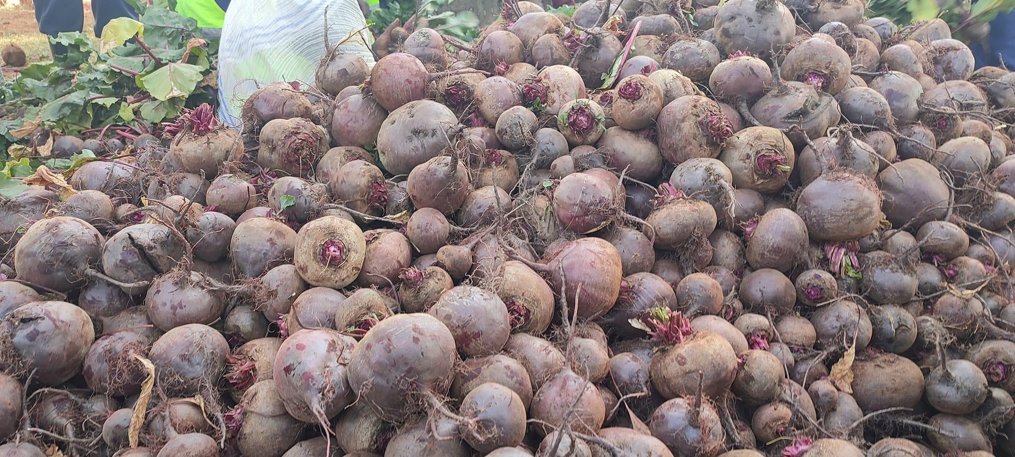  Finote Selam city food and insurance and safety 