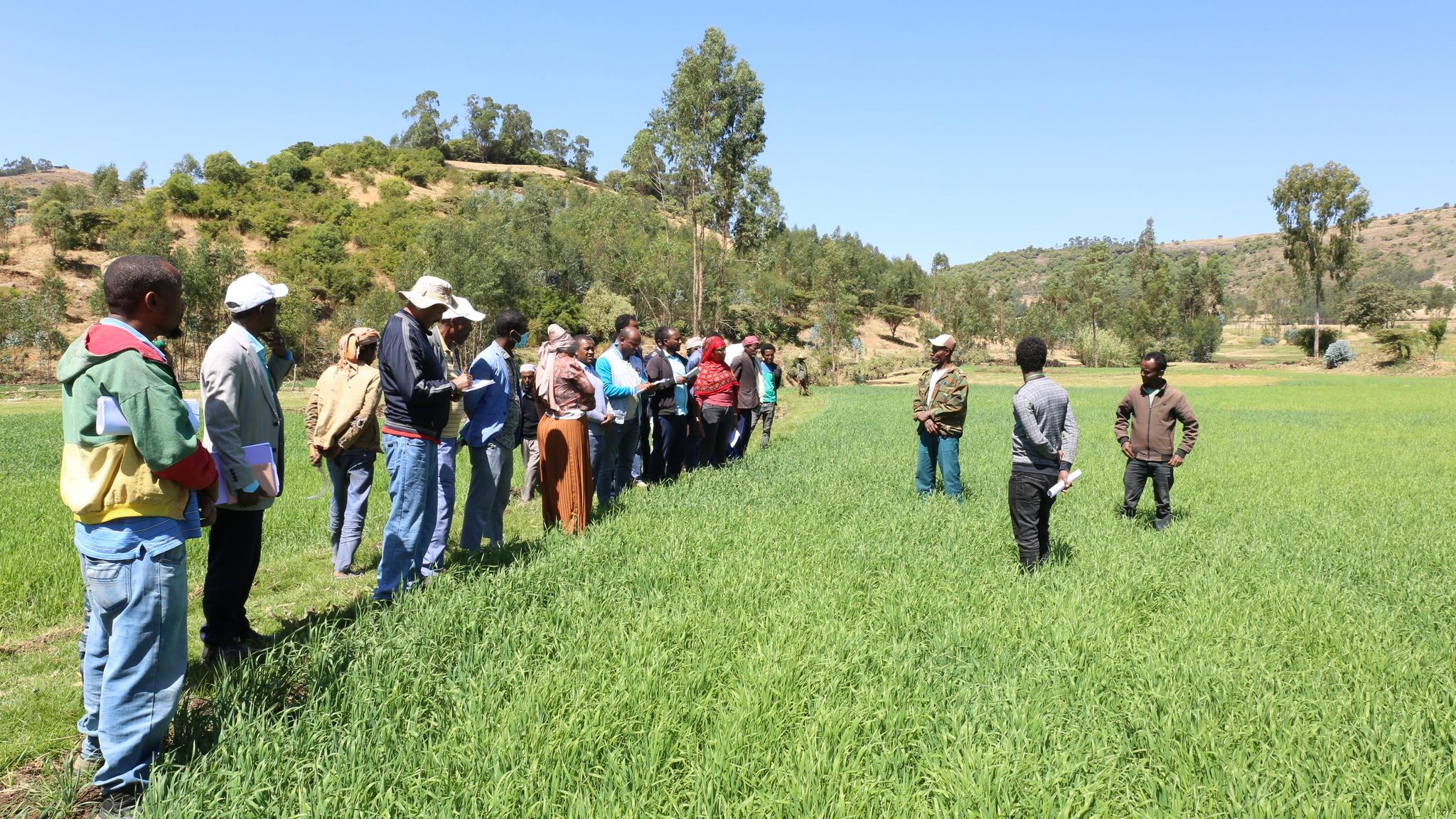 good governance in kelela woreda