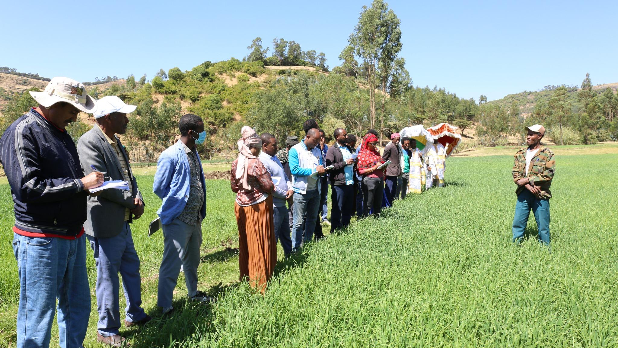 good governance in kelela woreda