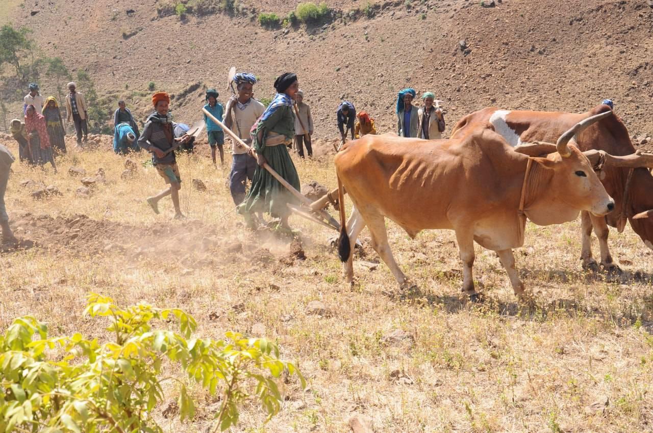 development work in Farta Woreda