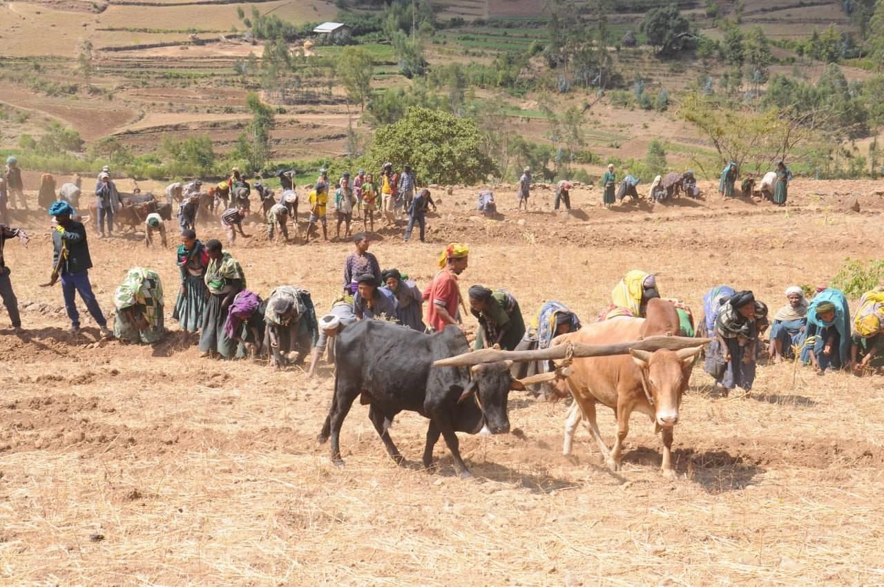 development work in Farta Woreda