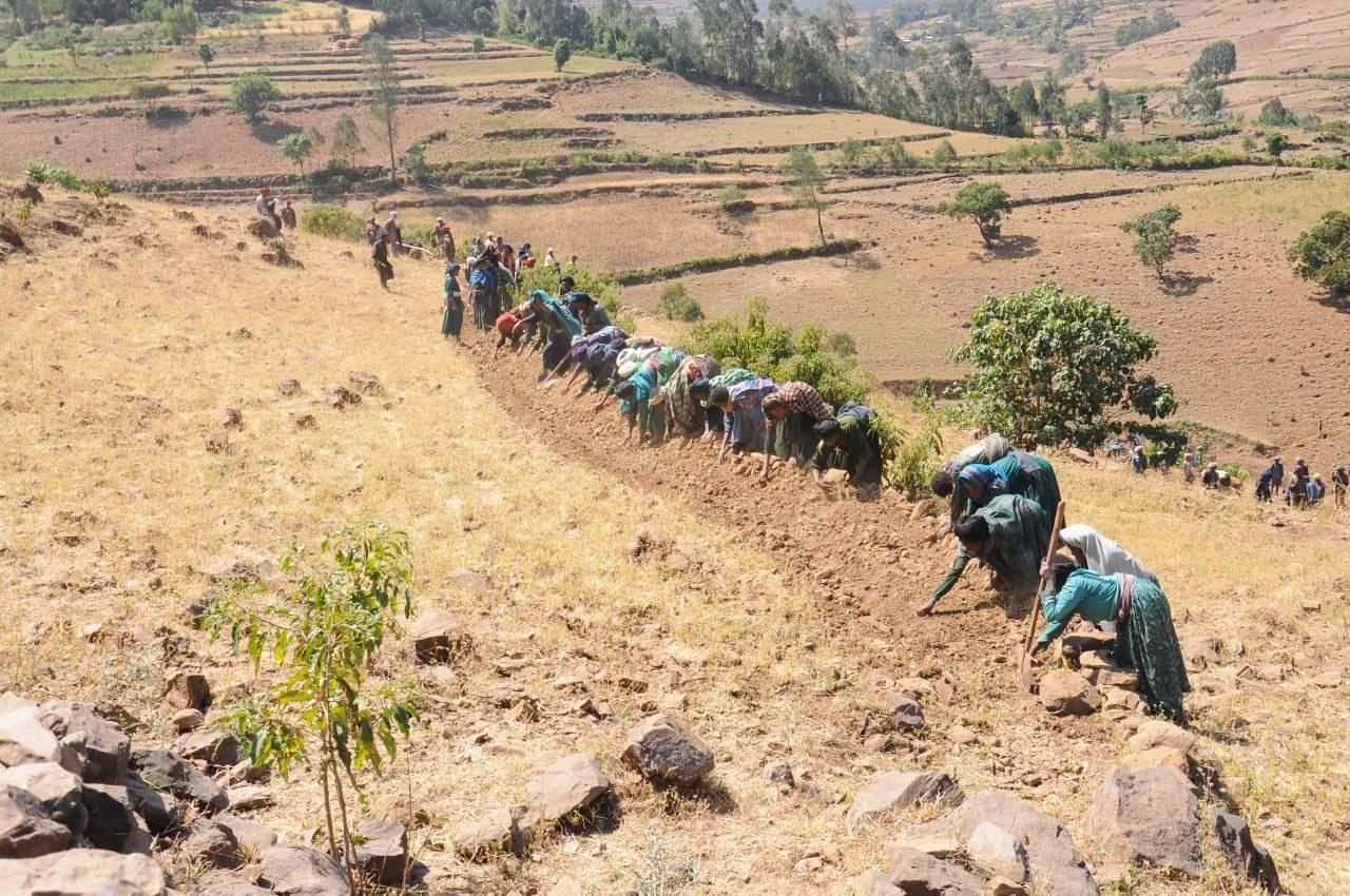 development work in Farta Woreda